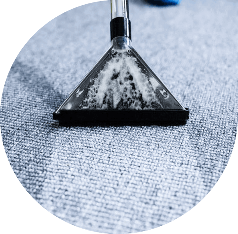 Professional Carpet Cleaning Services Carpet Cleaning Pros
