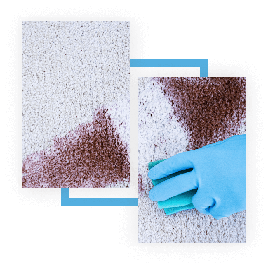 Rug Cleaning Prices List 7