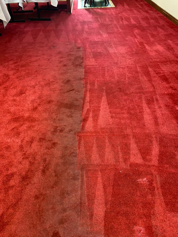 Professional carpet cleaning results