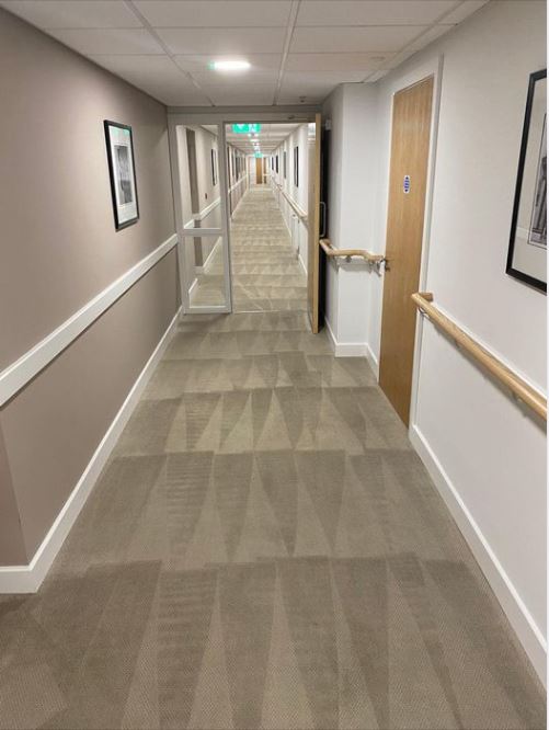 Professional carpet cleaning
