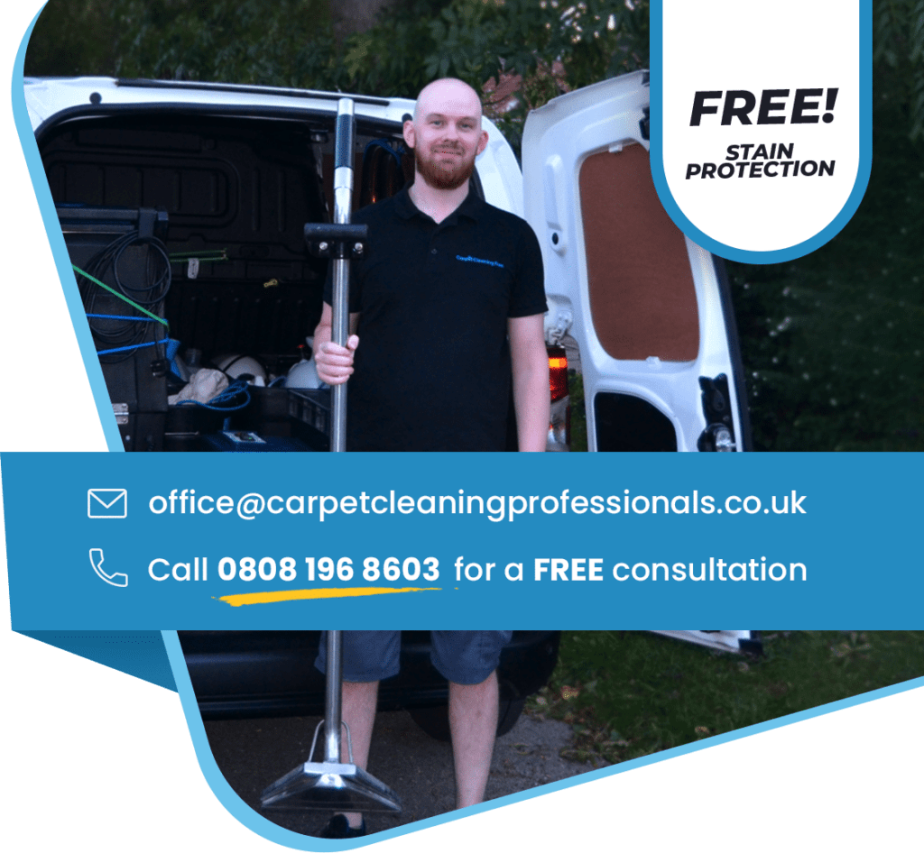 Professional Carpet cleaning near me