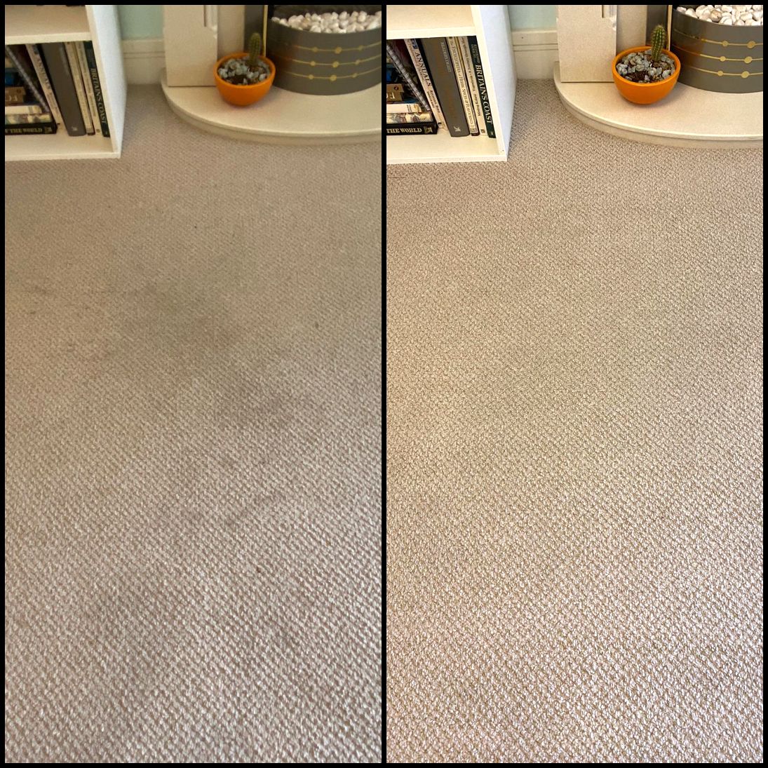 Professional carpet clean stain removal