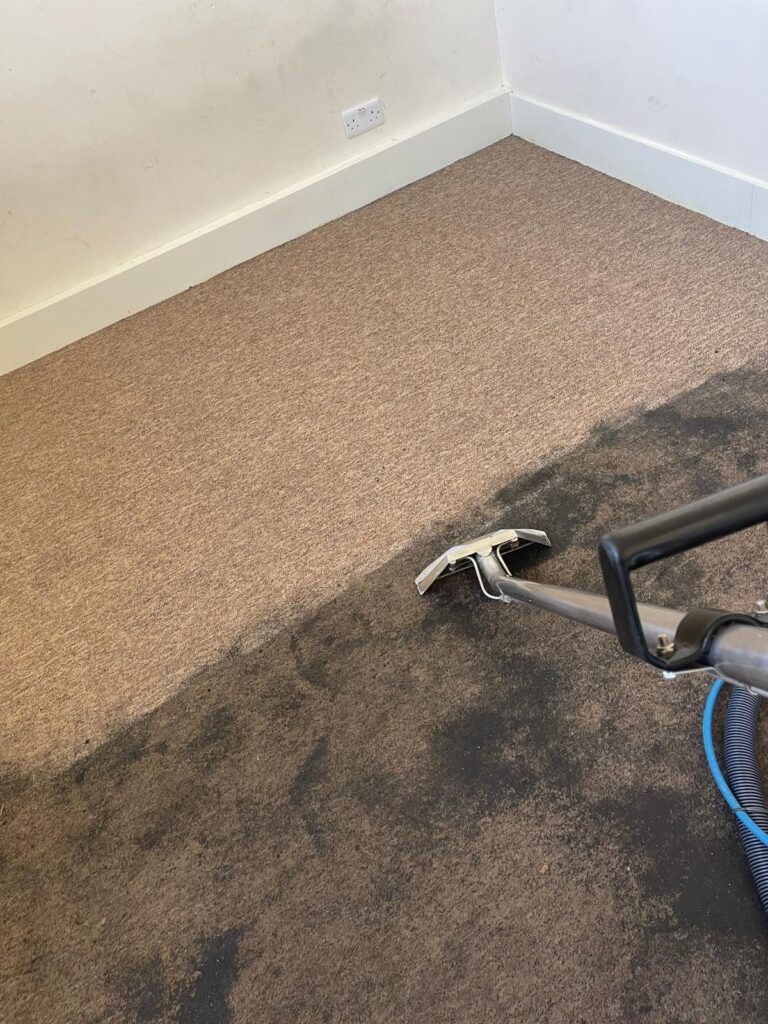carpet cleaning nearby