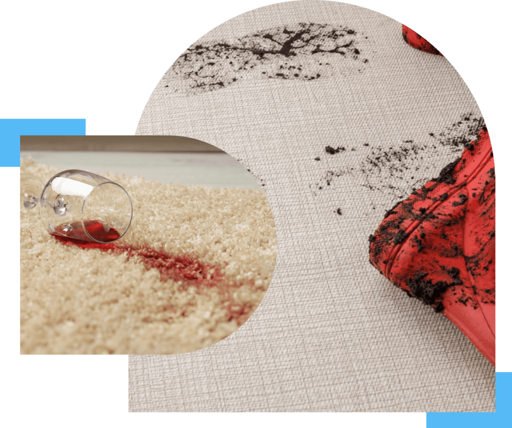 TopRated Carpet Cleaning Services Carpet Cleaning Pros