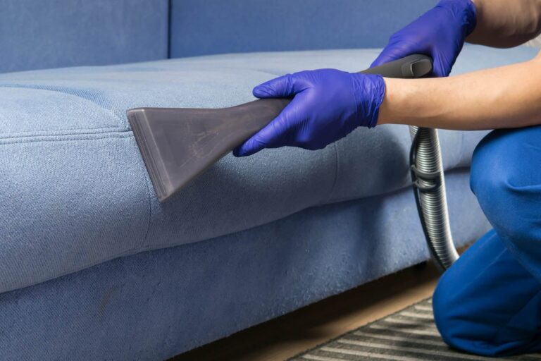 How to get a professional for sofa cleaning service