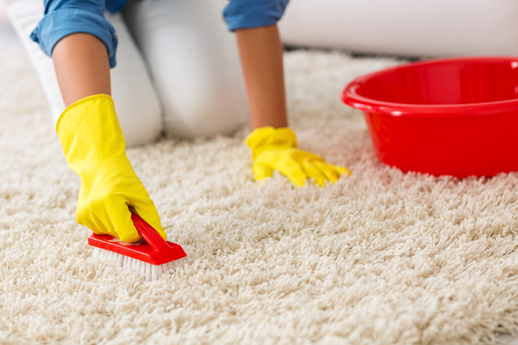 How To Get Rid Of Carpet Stains Or Smells With Baking Soda