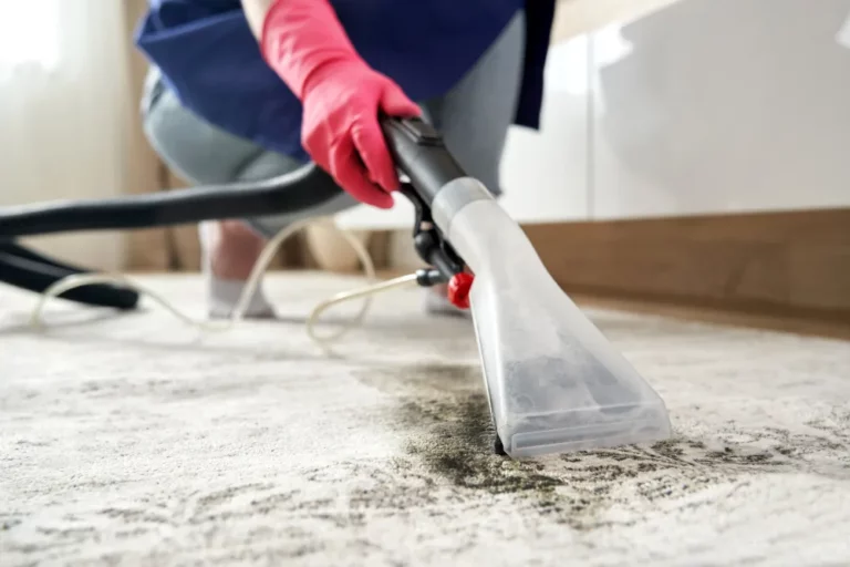 What Are The Benefits Of Weekly Carpet Cleaning